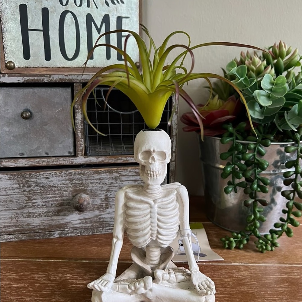 New Halloween Gothic Skull Skeleton Planter Succulent